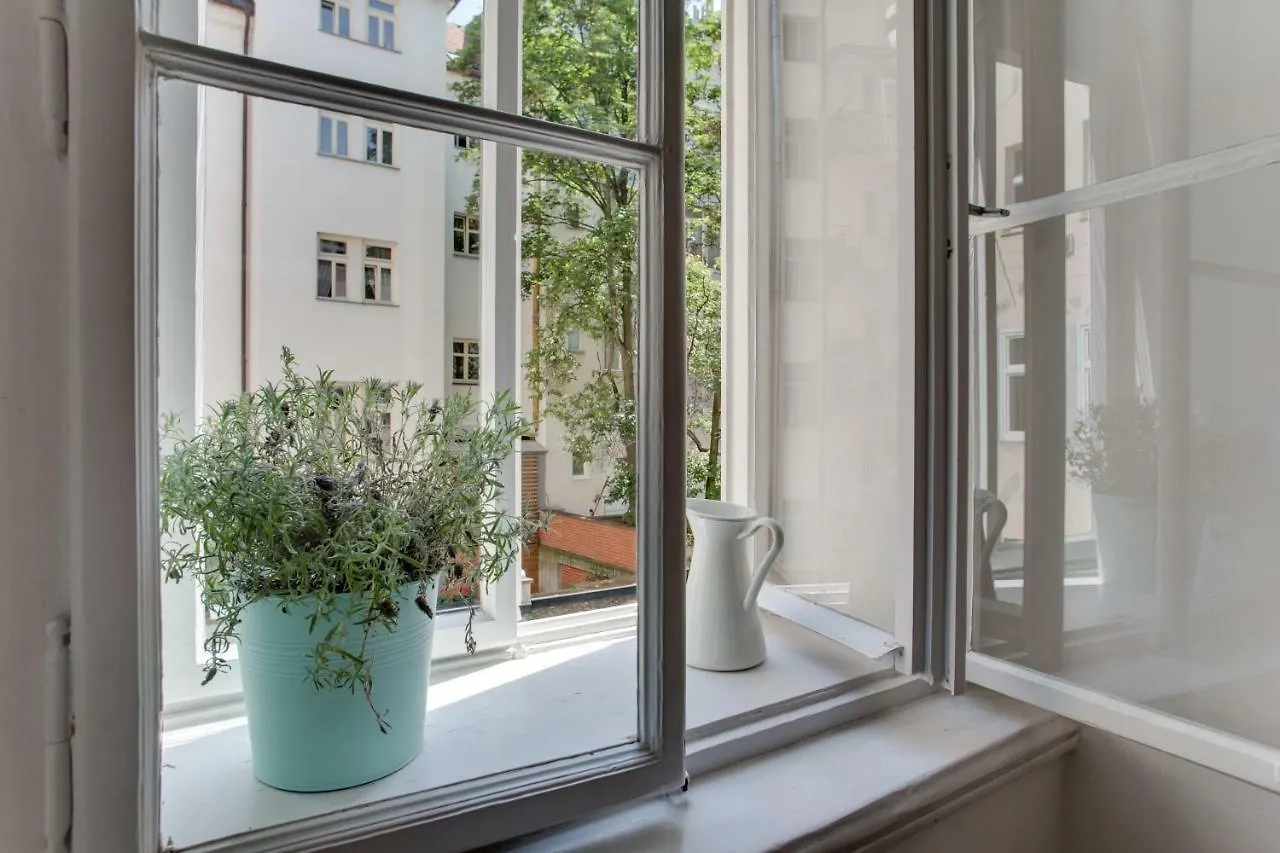 Jt'S Apartments Jecna Str. Prague